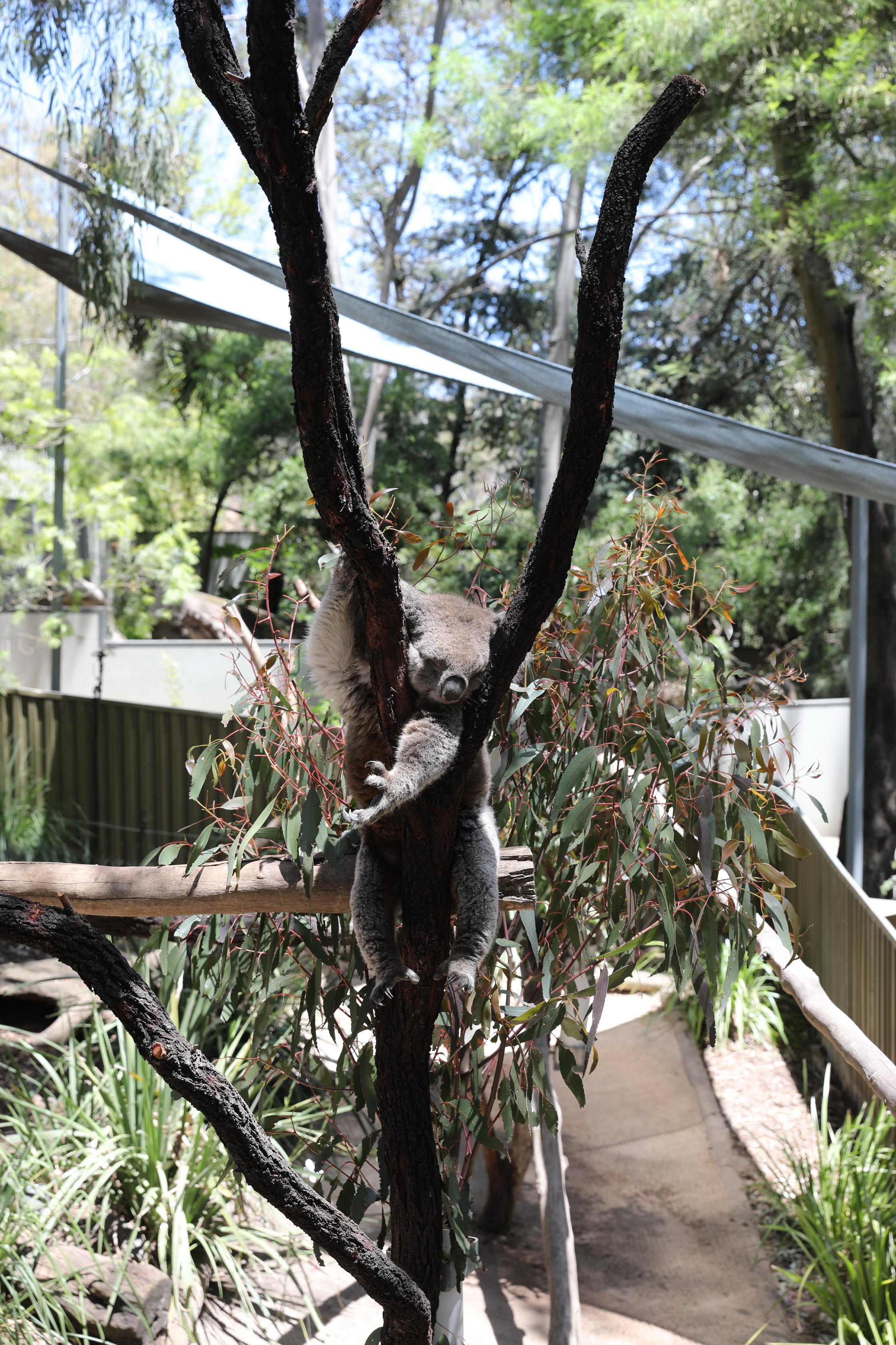 2019 11 22 13 08 55 Canon EOS 5D Mark IV 0001